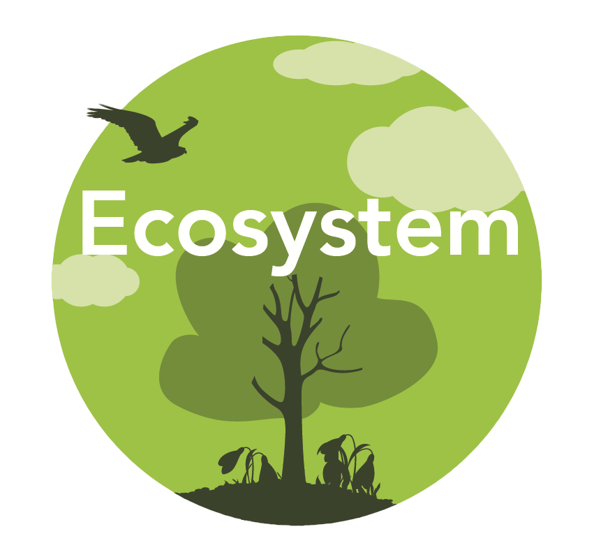 Ecosystem